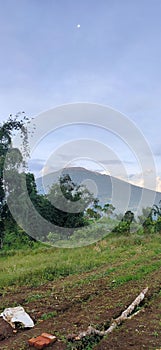 Marapi mountain nature