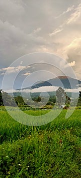 Marapi mountain nature