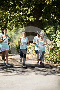 Marathon athletes running in the park