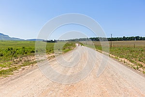 Marathon Runners Farmlands