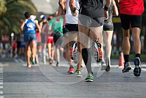 Marathon runners photo