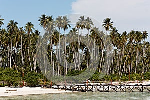 Maratua island, a paradise atoll off Borneo photo