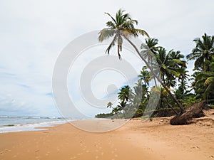 Marau peninsula in Bahia, Brazil - Taipu de Fora beach