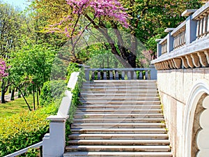 Marbel stairs and parapet in a park with green and purple blossoming trees