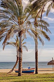 Marbella beach scene, with palm trees and the Mediterranean sea.