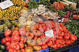 Marbella, Malaga province, Andalucia, Spain - March 18, 2019 : fresh fruits and vegetables for sale in a local farmers market