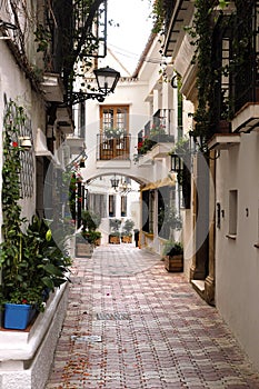 Marbella old town Andalucia Spain typical Spanish village whitewashed houses vertical