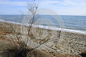 Marbella seascape