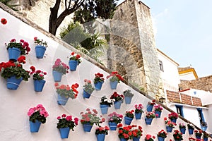 Marbella Spain whitewashed old town flower pot wall display