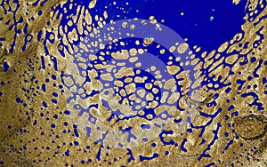 Marble abstract acrylic background. Blue marbling artwork texture. Golden glitter. Design, pale.