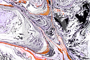 Marble abstract acrylic background. Marbling artwork texture. Agate ripple pattern. Gold powder. Fluid, nature.