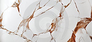 marble background texture for product design. Black and white patterned natural dark gray marble