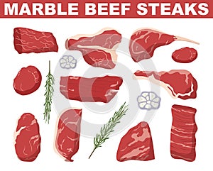 Marble beef steak set. Raw meat fillet. Fresh ingredient for cooking.