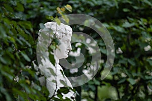 A marble bust in among the leaves