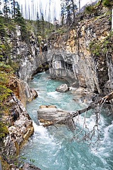 Marble canyon at Kootenay National Park (Canada)