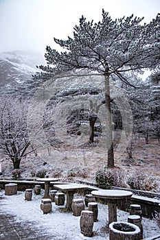 The marble chair is cover of snow at the Huangshan mountain or Yellow mountain, The mountain range in southern Anhui province in