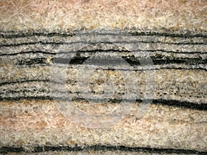 Marble with conglomerate cutted stone detail