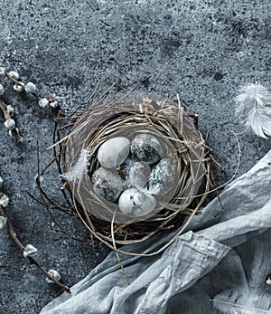 Marble Easter eggs in bird nest with feathers and spring flowers on blue background with napkin. Happy Easter holiday, top view,