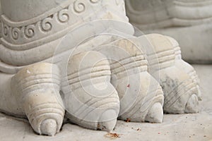 Marble lion guarding entrance (Wat Benchamabophit Dusitvanaram)