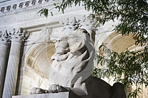 Marble lion outside New York City library