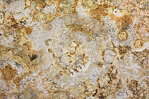 Marble Pattern Formica