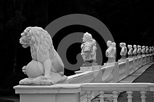 Marble sculpture: lion and busts photo