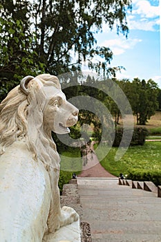 Marble sculpture of the lion on the landing of the Great Italian staircase of the Pavlovsk Park, St. Petersburg.