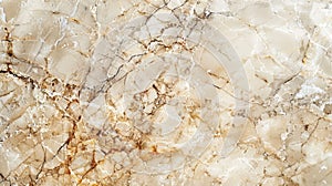 A marble slab showing numerous intricate fissures