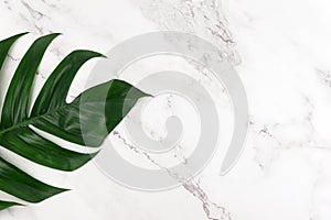 Marble surface and green leaf flat lay