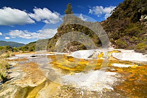 Marble Terrace and buttresses in Waimangu Volcanic Thermal Valley, Rotorua, New Zealand.