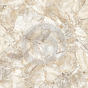 marble texture of fossil wood with bone color