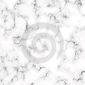 Marble texture isolated on white background vector