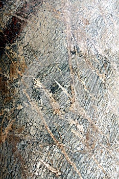Marble texture from Trianon - Versailles photo
