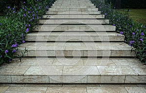 Marble tile stair way with purple flower in side