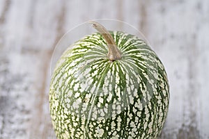 Marbled pumpkin