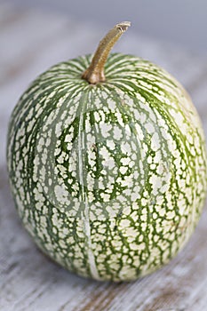 Marbled pumpkin