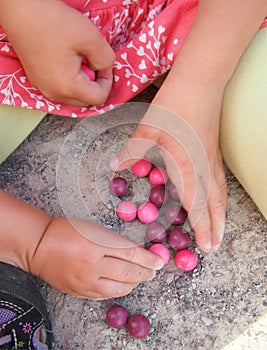 Marbles - little children hands playing pink and violet marbles