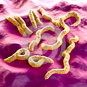 Marburg Virus - on background