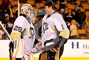 Marc-Andre Fleury and Brent Johnson Peguins (NHL)