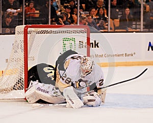 Marc-Andre Fleury Pittsburgh Penguins