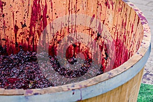 Marc grapes in a barrel.