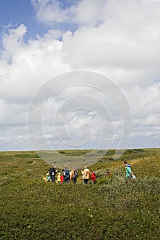 Marc Guyt / www.agami.nl