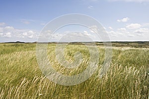 Marc Guyt / www.agami.nl