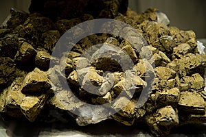 Marcasite Mineral Crystals