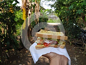 March 05: sandwich with tomato