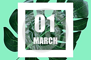 march 1st. Day 1 of month, Date text in white frame against tropical monstera leaf on green background spring month, day