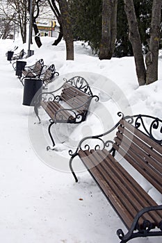March 23, Rodniki, RussiBenches in a city park in winter. Recreation area for visitors to the suburban residence. Winter landscape