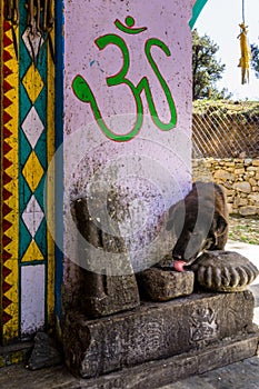 March 3rd 2021 Uttarakhand India.An Indian Stray Pariah dog licking offered food in a hindu temple with a sign of Om