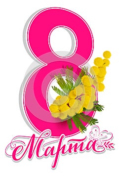 March 8 greeting card text translated from Russian. Lettering and yellow mimosa flower symbol International Women s Day