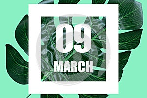 march 9th. Day 9 of month,Date text in white frame against tropical monstera leaf on green background spring month, day